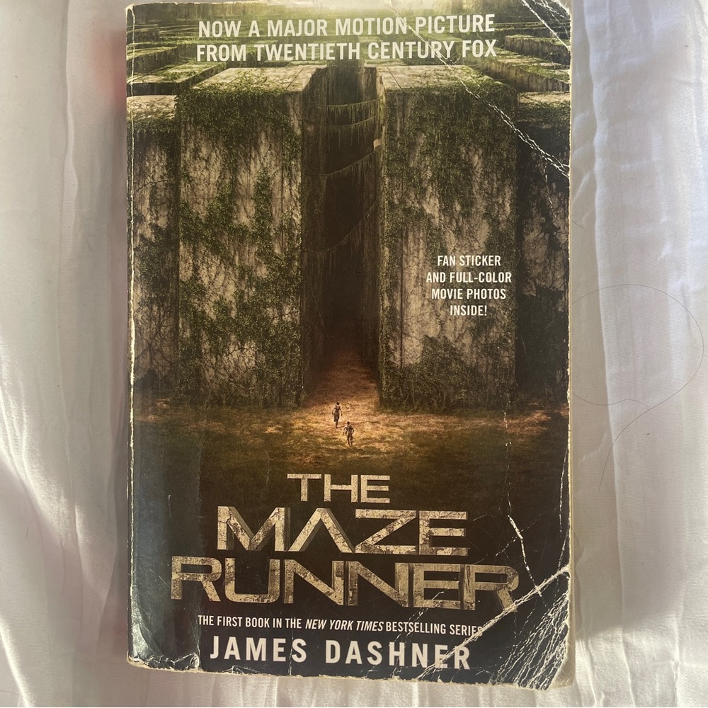 The Maze Runner by James Dasher